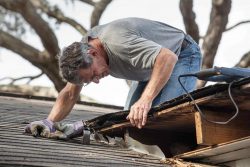 Roof restoration dural