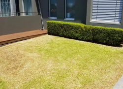 Lawn mowing northern beaches