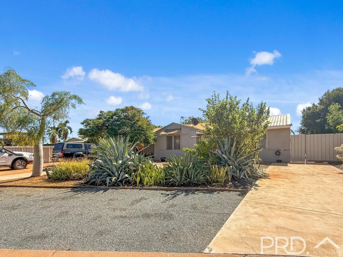 12 White Ct, Baynton WA 6714, Australia