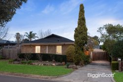 24 Hendra Grove, Ringwood VIC 3134, Australia