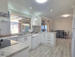 20 Border Rd Applethorpe QLD 4378 Australia