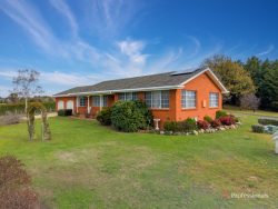 45 Moore Park Rd Armidale NSW 2350 Australia