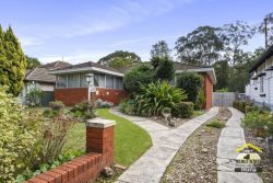 11 Artie St Carramar NSW 2163 Australia