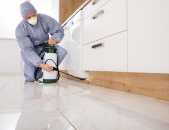 Carpet Cleaning Springfield Lakes