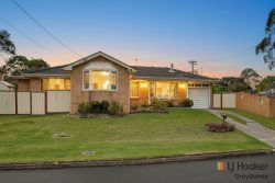 60 Hopman St Greystanes NSW 2145, Australia