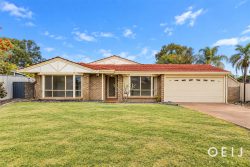 16 Sunshine Pl Bibra Lake WA 6163, Australia